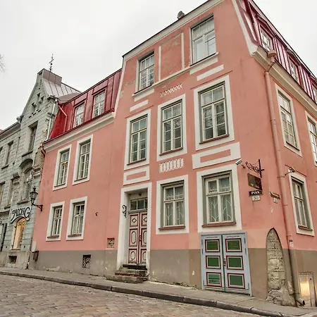 Daily - Old Town Fat Margaret Tallinn