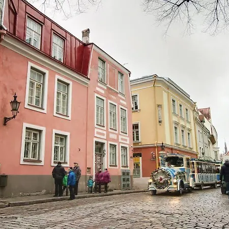 Daily - Old Town Fat Margaret Tallinn